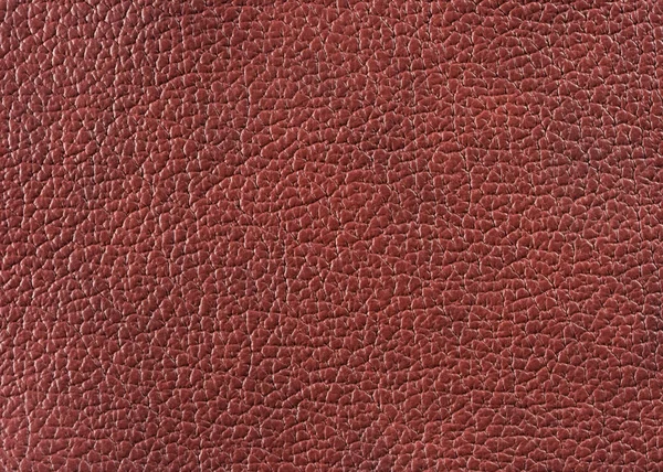 Natural Qualitative Leather Texture Close — Stock Photo, Image