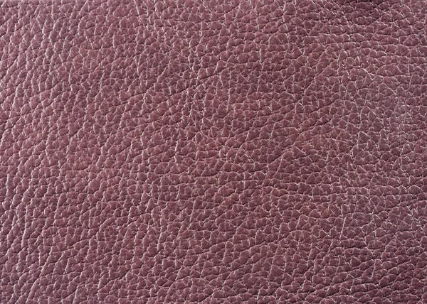 Natural Qualitative Leather Texture Close — Stock Photo, Image