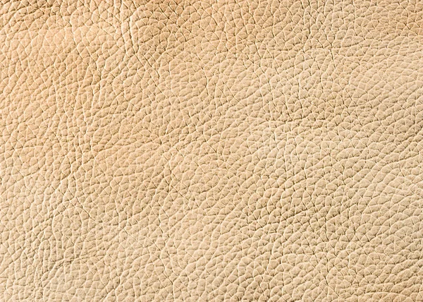 Natural Qualitative Beige Leather Texture Close — Stock Photo, Image