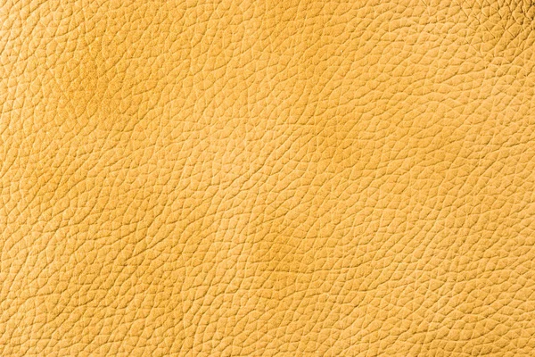 Natural Qualitative Leather Texture Close — Stock Photo, Image