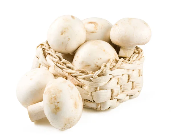 Fresh Mushrooms Isolated White Background Clipping Path Included — Stock Photo, Image