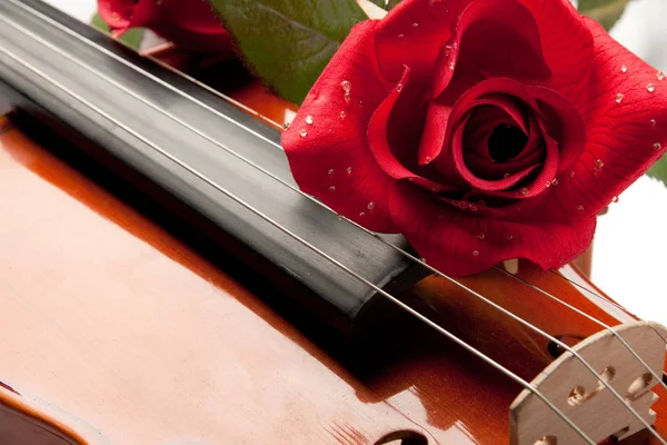 Violon Rose Reposaient Sur Des Notes Musique — Photo