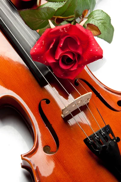 Violino Rosa Jazem Notas Musicais — Fotografia de Stock