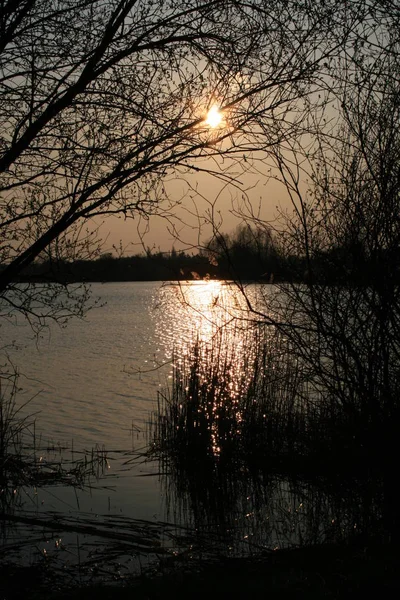 晚上在湖畔 — 图库照片