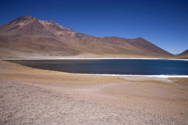 Dağları Yakınlarındaki Atacama Çölünde Lagunas Miscanti Meniques — Stok fotoğraf