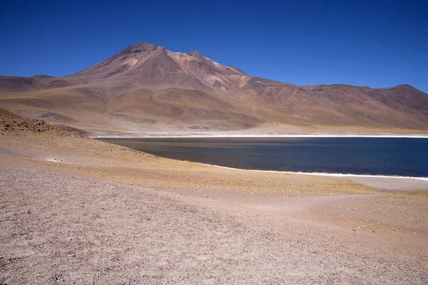 Lagunes Miscanti Meniques Dans Désert Atacama Près Des Andes — Photo