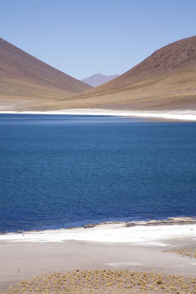 Lagunas Miscanti Meniques Deserto Atacama Perto Dos Andes — Fotografia de Stock