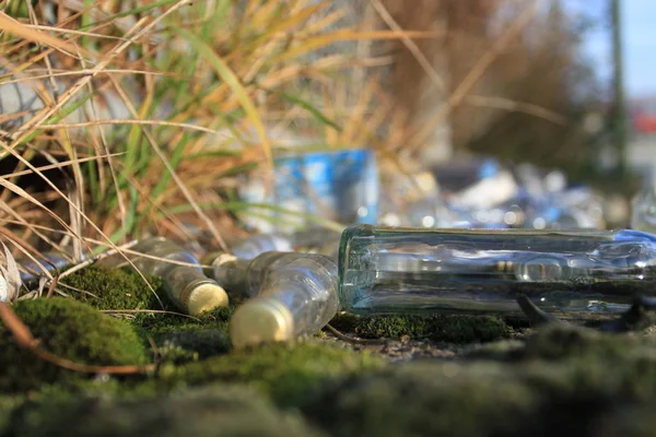 Butelka Wody Trawie — Zdjęcie stockowe