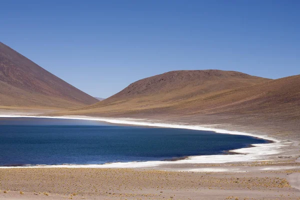Lagunes Miscanti Meniques Dans Désert Atacama Près Des Andes — Photo