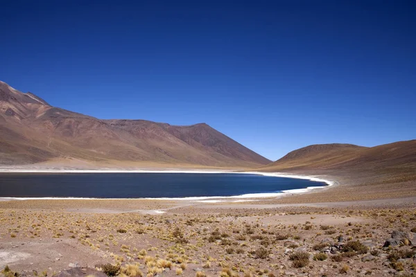 Lagunas Miscanti Meniques Pustyni Atacama Pobliżu Andów — Zdjęcie stockowe