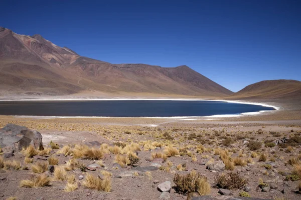 Lagunas Miscanti Meniques Desierto Atacama Cerca Los Andes — Foto de Stock