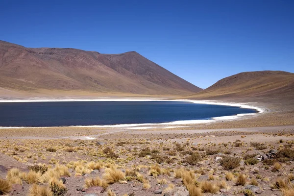 Lagunas Miscanti Meniques Pustyni Atacama Pobliżu Andów — Zdjęcie stockowe