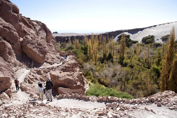 Toconao Village Oas Atacamaöknen — Stockfoto