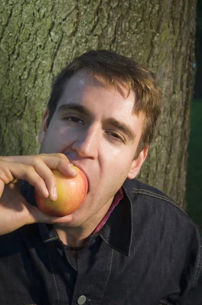 Hlava Ramena Záběr Mladého Muže Stromě Kousání Jablka — Stock fotografie