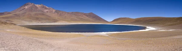 Lagunes Miscanti Meniques Dans Désert Atacama Près Des Andes — Photo