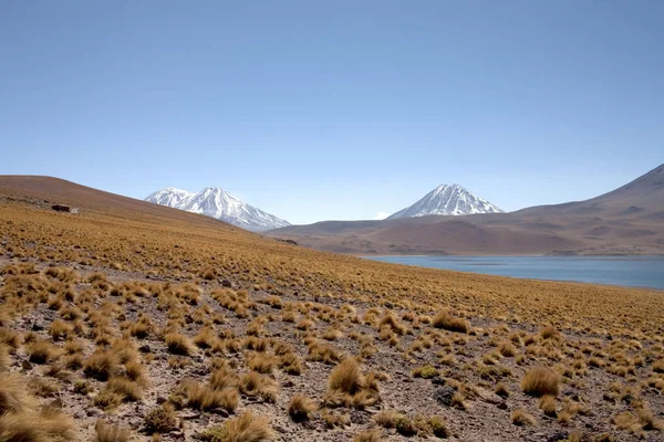 Lagunas Miscanti Meniques Desierto Atacama Cerca Los Andes —  Fotos de Stock