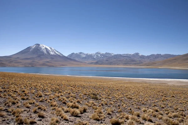 Lagune Miscanti Meniques Nel Deserto Atacama Vicino Alle Ande — Foto Stock