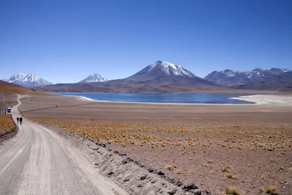 Lagunas Miscanti Meniques Pustyni Atacama Pobliżu Andów — Zdjęcie stockowe