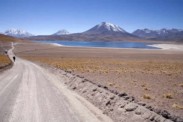 Lagunas Miscanti Meniques Pustyni Atacama Pobliżu Andów — Zdjęcie stockowe