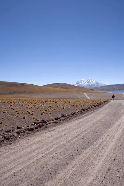 Lagune Miscanti Meniques Nel Deserto Atacama Vicino Alle Ande — Foto Stock