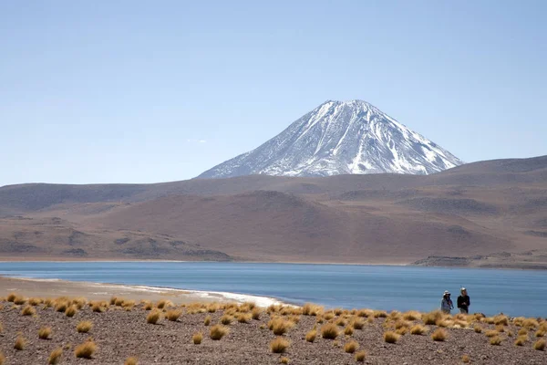 Lagunas Miscanti Meniques Pustyni Atacama Pobliżu Andów — Zdjęcie stockowe