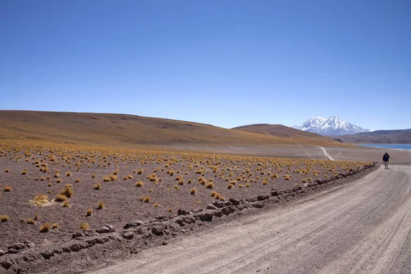Lagunas Miscanti Meniques Desierto Atacama Cerca Los Andes —  Fotos de Stock