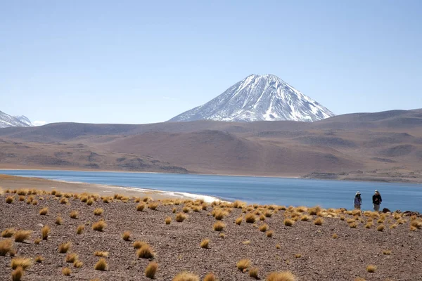 Lagunas Miscanti Meniques Desierto Atacama Cerca Los Andes — Foto de Stock