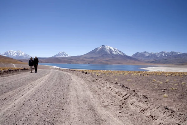 Lagunas Miscanti Meniques Pustyni Atacama Pobliżu Andów — Zdjęcie stockowe