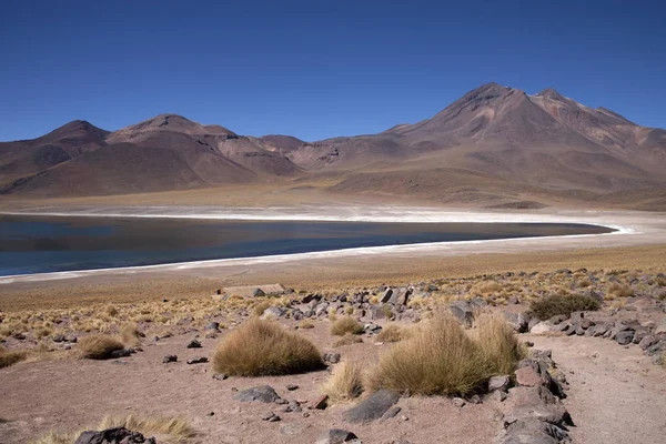 Lagune Miscanti Meniques Nel Deserto Atacama Vicino Alle Ande — Foto Stock