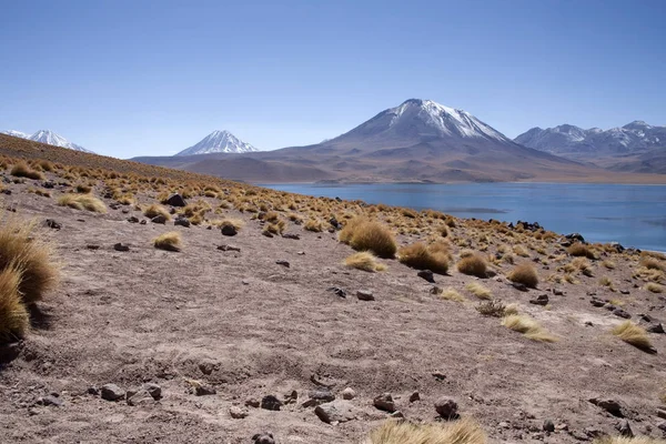 Lagunas Miscanti Meniques Desierto Atacama Cerca Los Andes — Foto de Stock