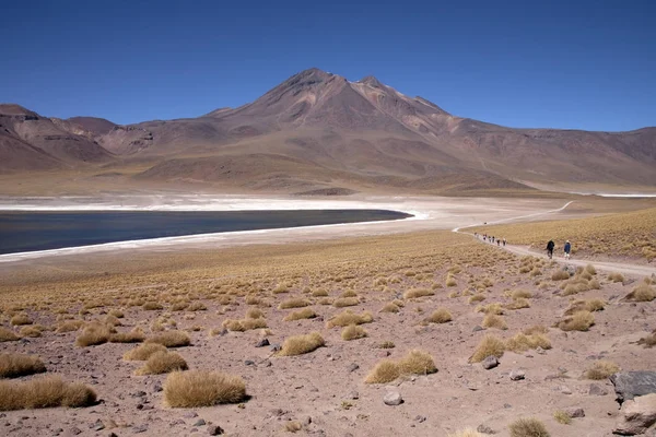 Lagunas Miscanti Meniques Deserto Atacama Perto Dos Andes — Fotografia de Stock