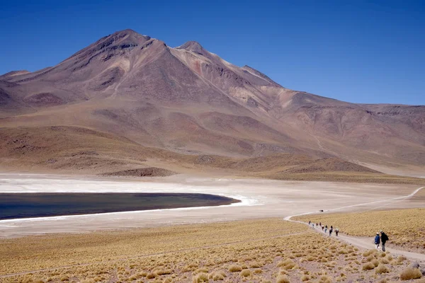 Lagunas Miscanti Meniques Desierto Atacama Cerca Los Andes — Foto de Stock