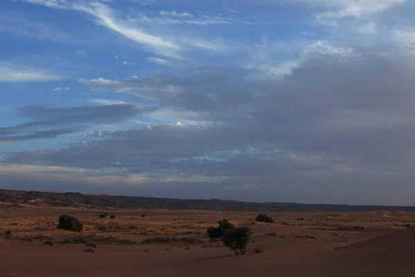 Vue Panoramique Sur Nature Dans Désert Sahara — Photo