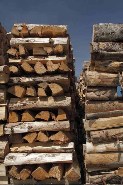 Wooden Texture Woodpile — Stock Photo, Image