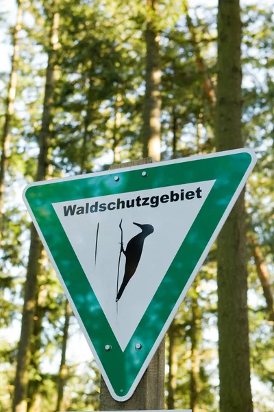 Schilderachtig Uitzicht Prachtige Vogel Natuur — Stockfoto