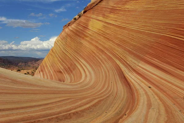 Eua Eua Oeste Arizona Oeste Selvagem Coiote Nádegas Vermillion Penhascos — Fotografia de Stock