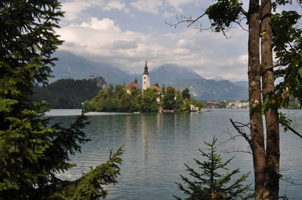 Marienkirche Sjön Bled — Stockfoto