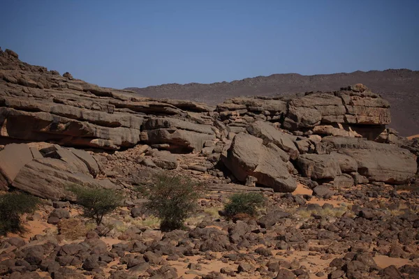 Malerischer Blick Auf Die Natur Der Sahara — Stockfoto