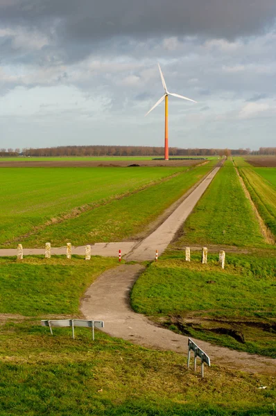 オランダのアルマールの小さな道路の端にあるカラフルな風車 — ストック写真