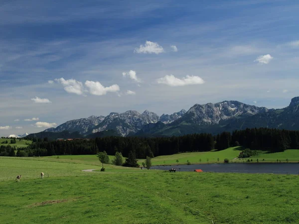 Alpské Panorama Rakouské Hory — Stock fotografie