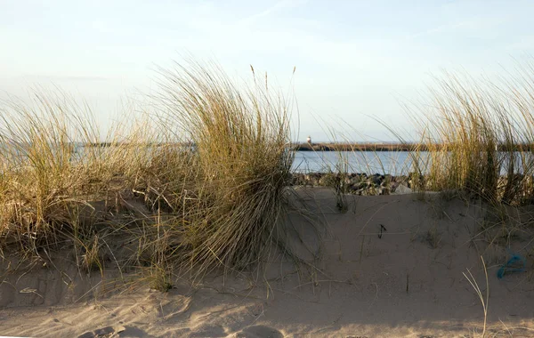 Nederländska Sanddyner Med Blå Himmel — Stockfoto