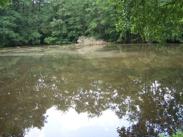 Prachtig Uitzicht Het Natuurlandschap — Stockfoto