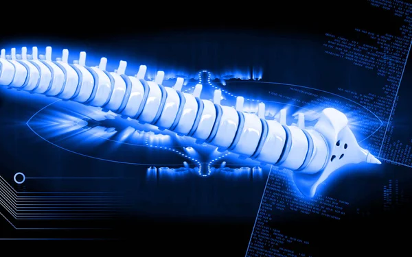 Цифровая Иллюстрация Позвоночника Цвете Фона — стоковое фото