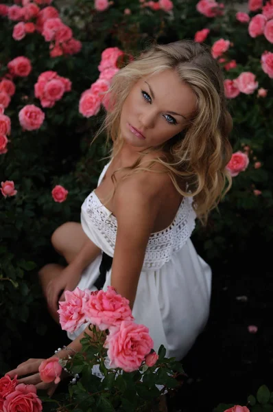 Zwoele Blond Rose Bushes Hoge Hoek Schot Van Blonde Vrouw — Stockfoto