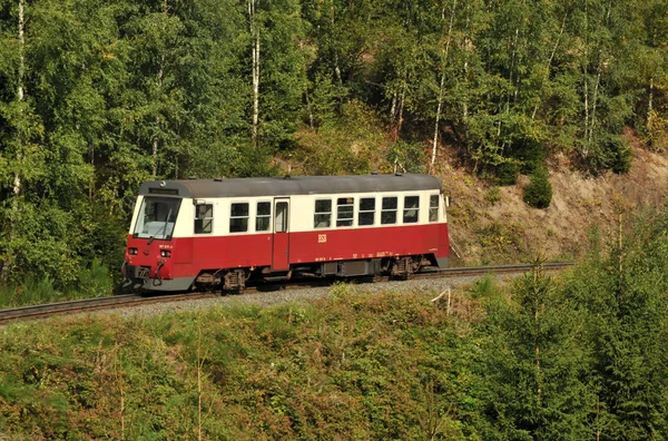 Train Dans Forêt — Photo