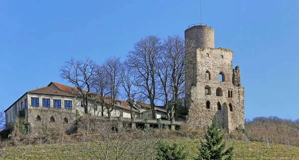 Strahlenburg Schriesheim — Stock Photo, Image