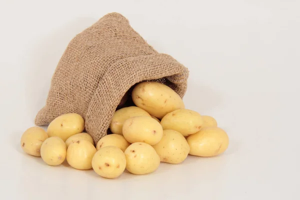 Μικρές Πατάτες Γιούτα — Φωτογραφία Αρχείου