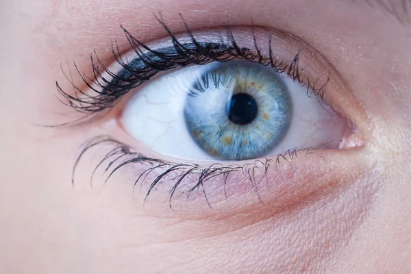 Крупный План Красивого Голубого Глаза Женщины — стоковое фото