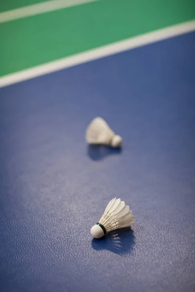 badminton - badminton courts with two shuttlecocks (shallow DOF