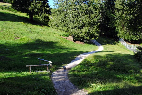 Wit Kiezelpad Groen Berglandschap — Stockfoto